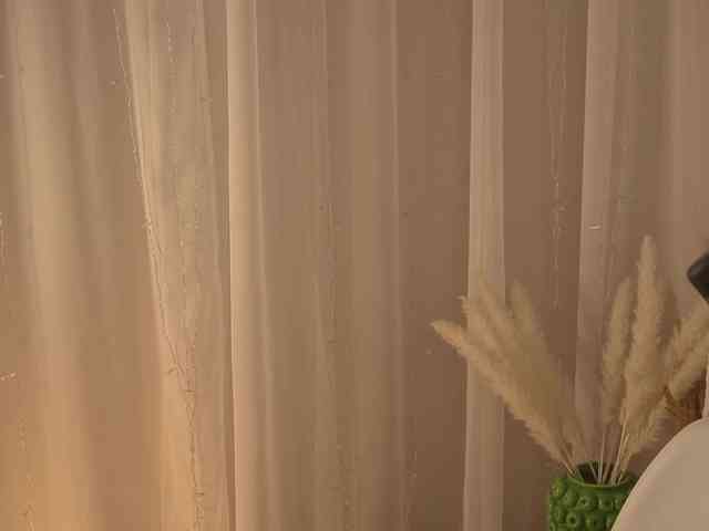 PONI_DI webcam