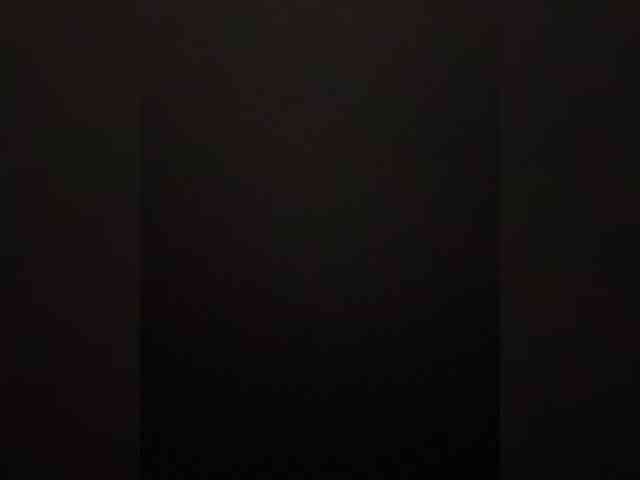 -Jolly- webcam