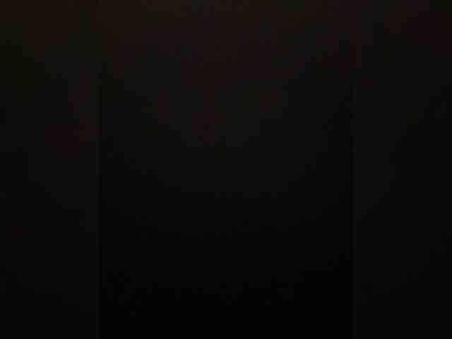 -Jolly- webcam