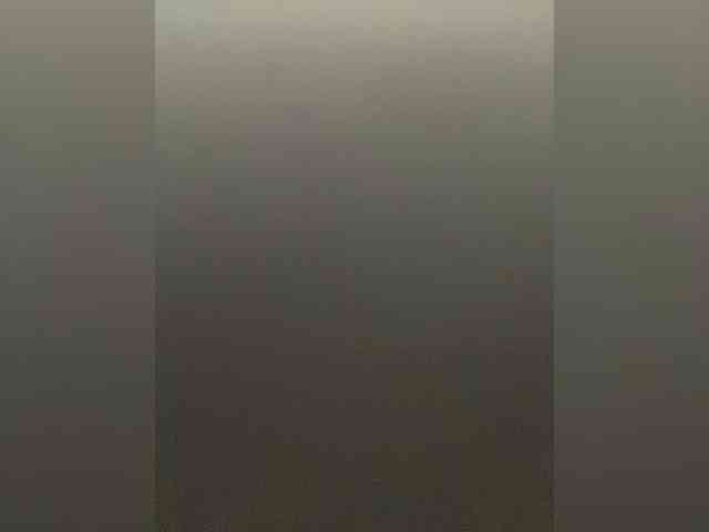 -Jolly- webcam
