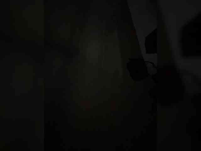 -Jolly- webcam