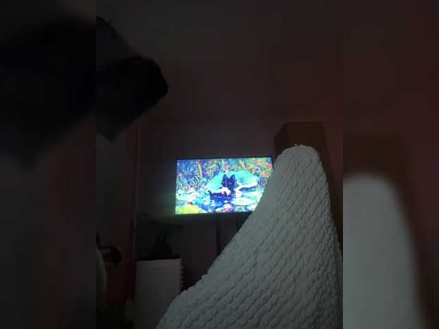 LollaDolly