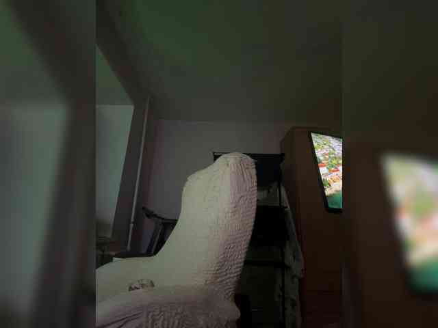 LollaDolly webcam