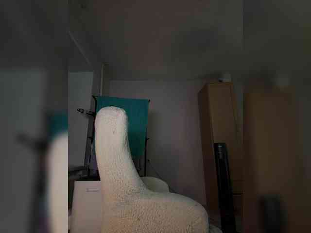 LollaDolly webcam