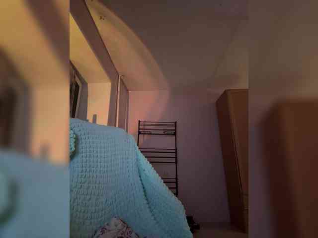 LollaDolly webcam