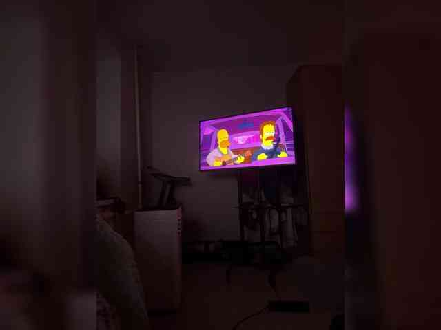 LollaDolly webcam