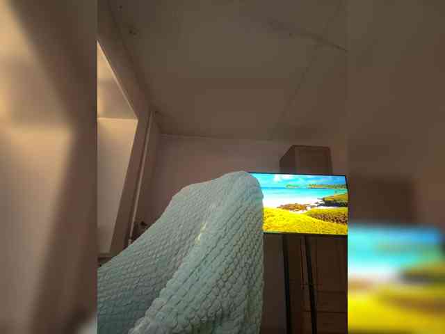 LollaDolly webcam