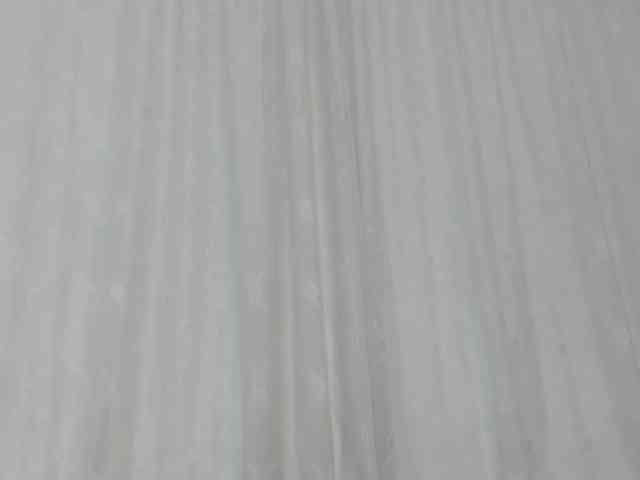 Kahia-swt webcam