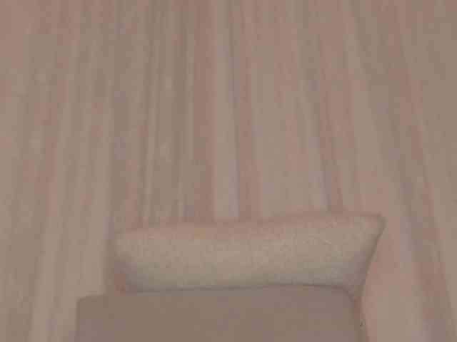 Kahia-swt webcam