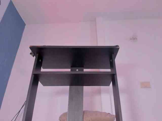 Kahia-swt webcam