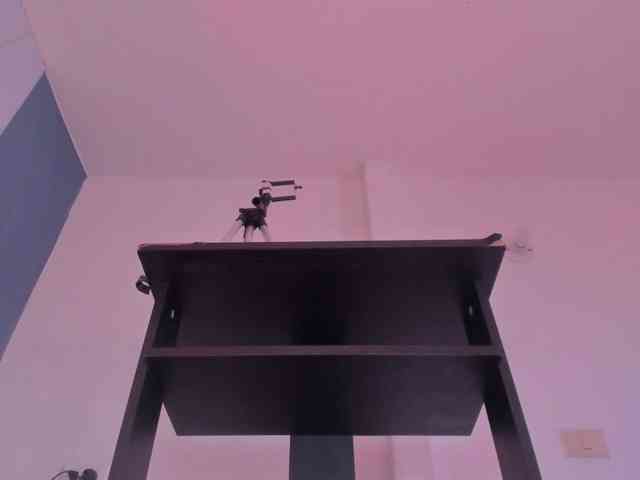 Kahia-swt webcam