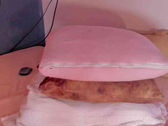 Kahia-swt webcam