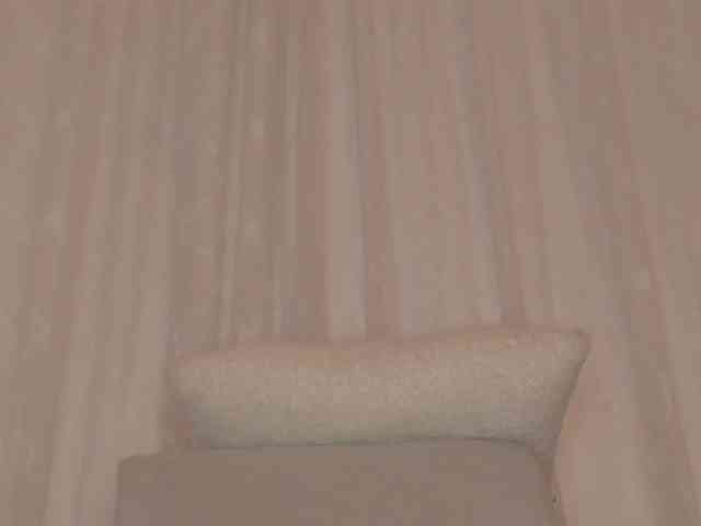 Kahia-swt webcam