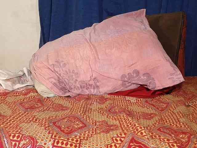 alondra_groot webcam