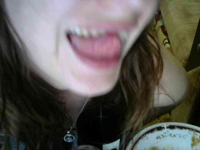 Dollye webcam