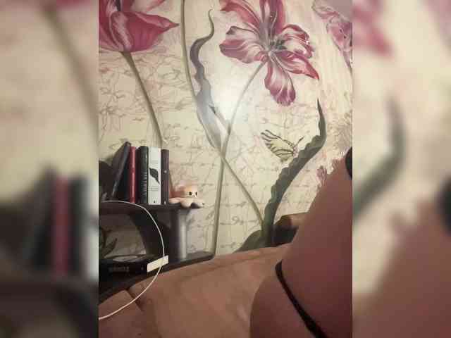 Dollye webcam
