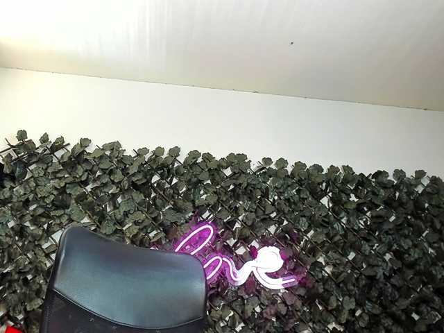 DestinyHills live cam on BongaCams