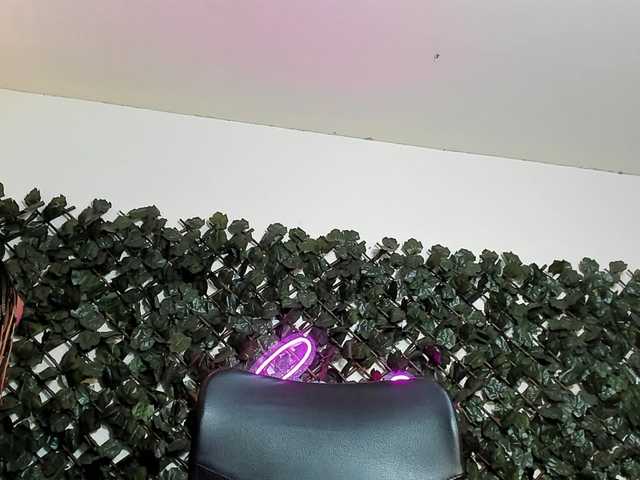 DestinyHills live cam on BongaCams