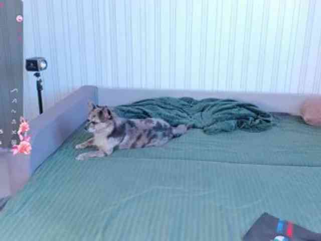 Jesikalooove webcam