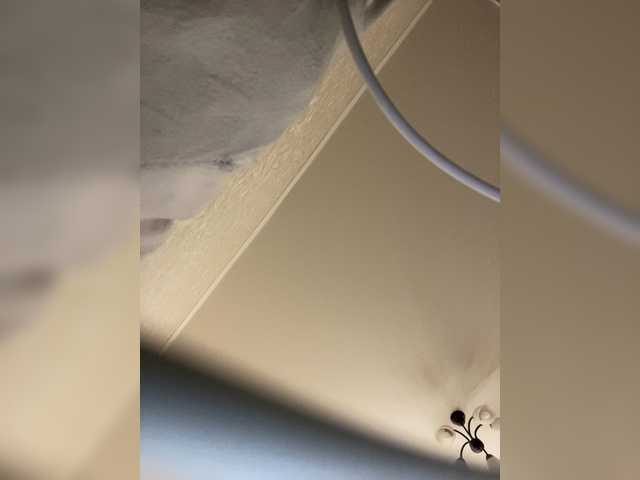 Sex chat gratuit in direct cu HellMor pe BongaCams