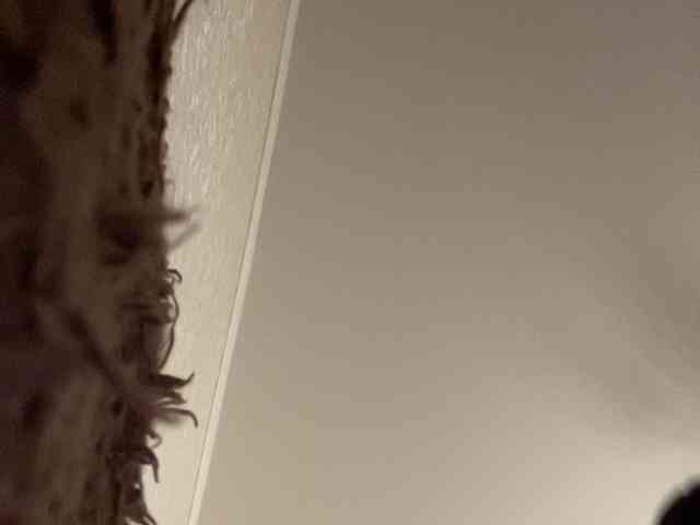 Модель: HellMor