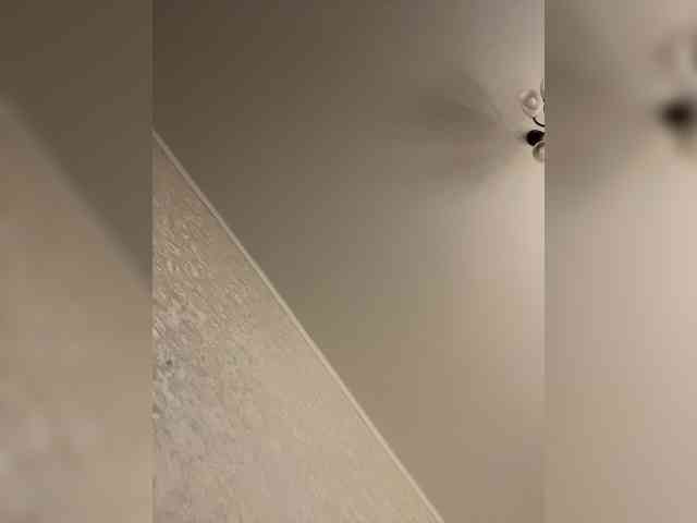 Модель: HellMor