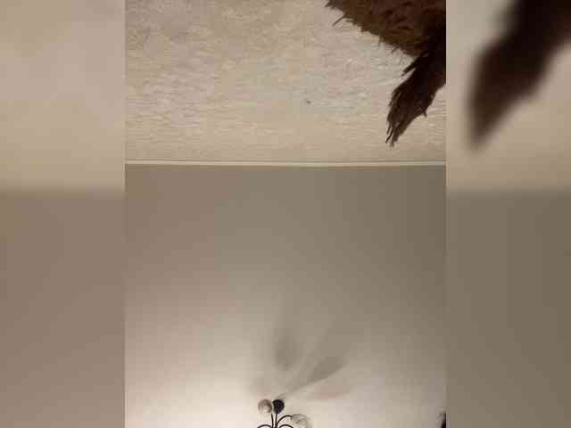 HellMor webcam