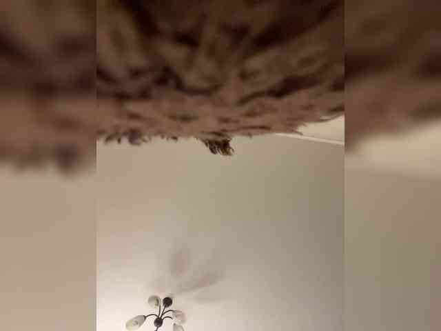 HellMor webcam