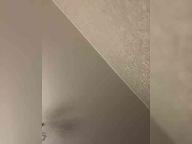 HellMor webcam