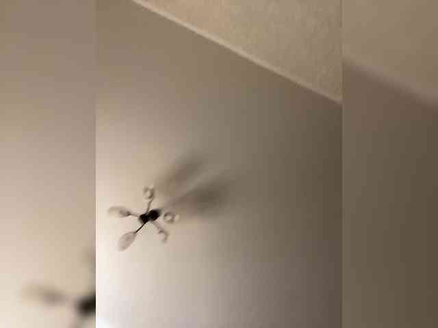 HellMor webcam