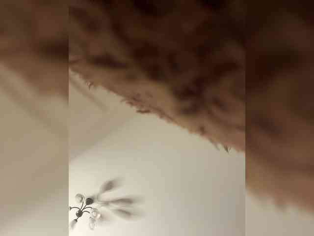 HellMor webcam