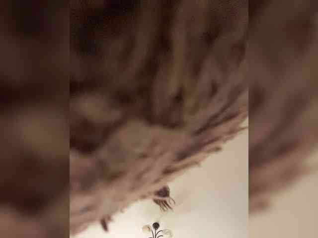 HellMor webcam