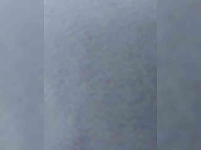 Marie301 webcam