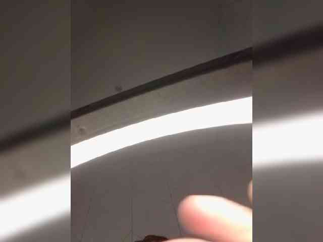 Marie301 webcam