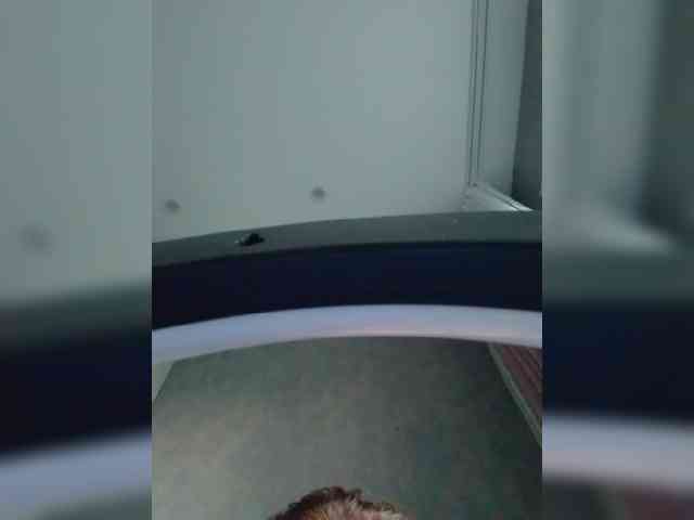 Marie301 webcam