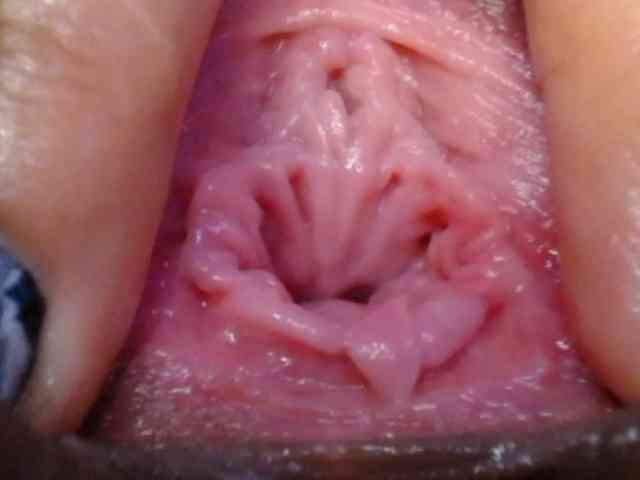 Saenz_velt webcam