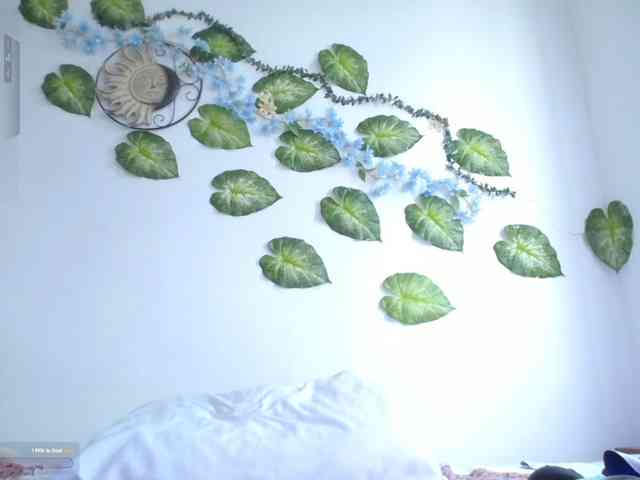 Saenz_velt webcam