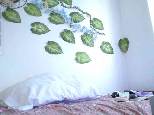 Saenz_velt webcam