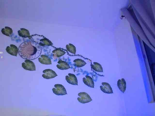 missxsaenz webcam