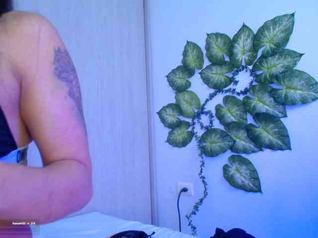 Saenz_velt