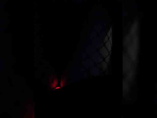 LiiBaby webcam