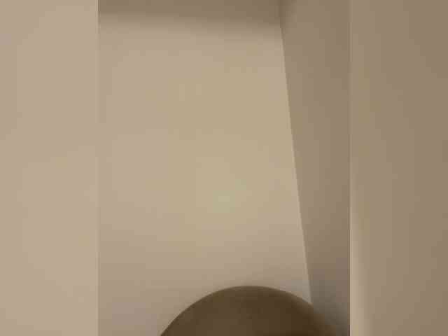 LiiBaby