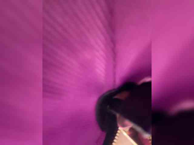 LiiBaby webcam