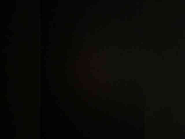 LiiBaby webcam