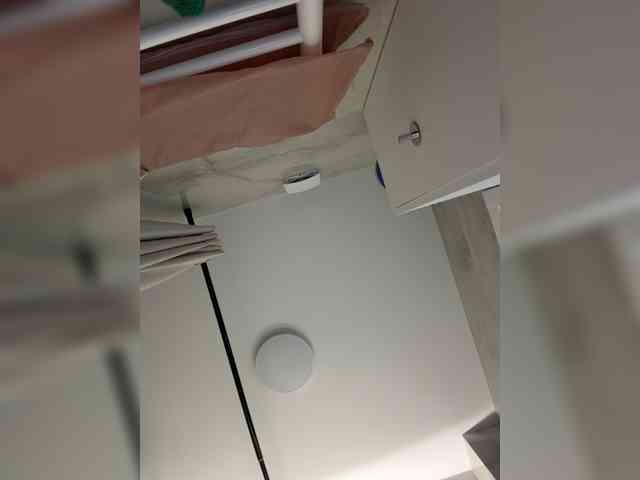 LiiBaby webcam