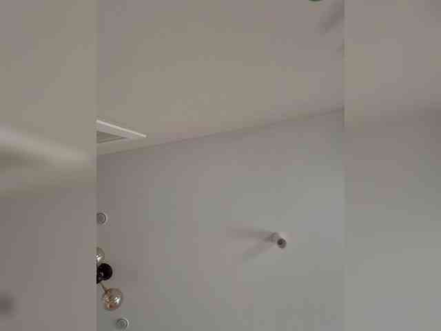 LiiBaby webcam