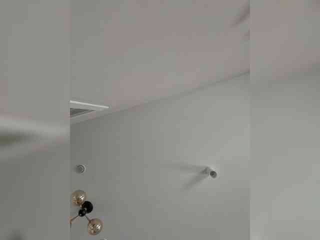 LiiBaby webcam