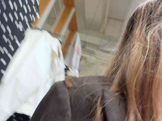 LiiBaby webcam