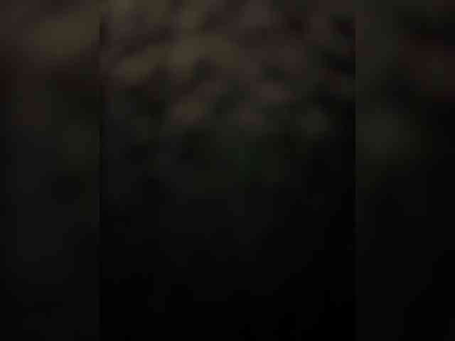 LiiBaby webcam