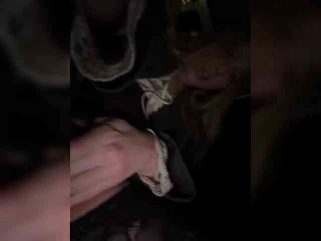 LiiBaby